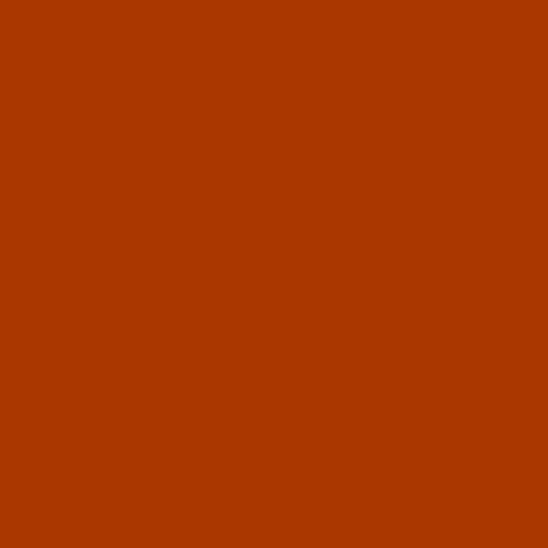 08 Terracotta Rose